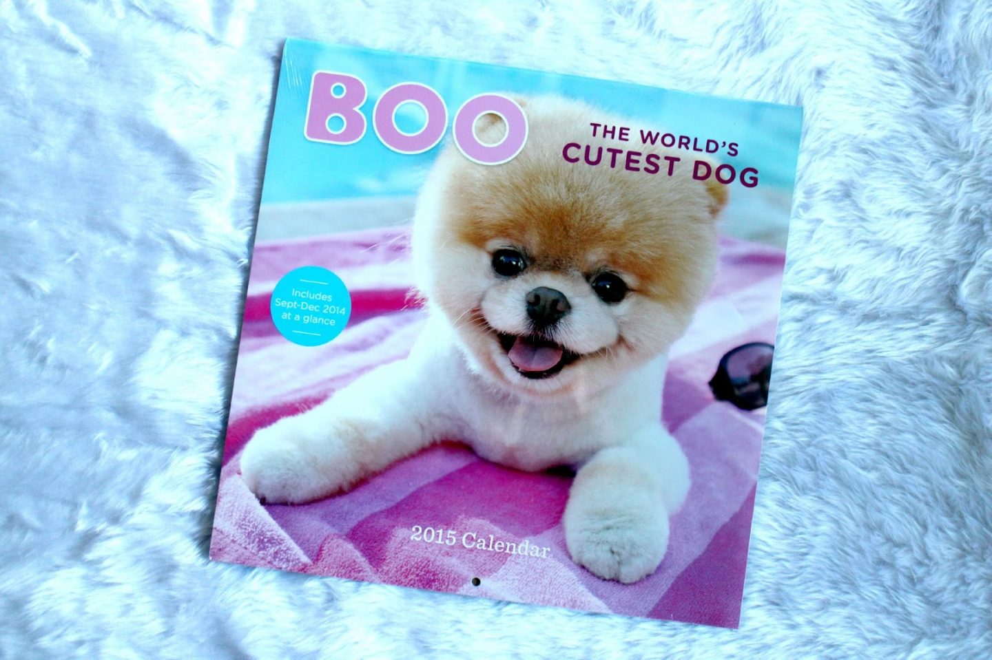 Boo The World's Cutest Dog 2015 Calendar