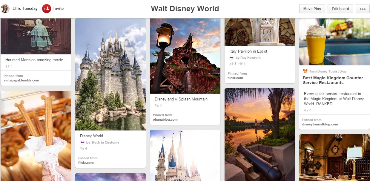 Walt Disney World Travel Board Pinterest