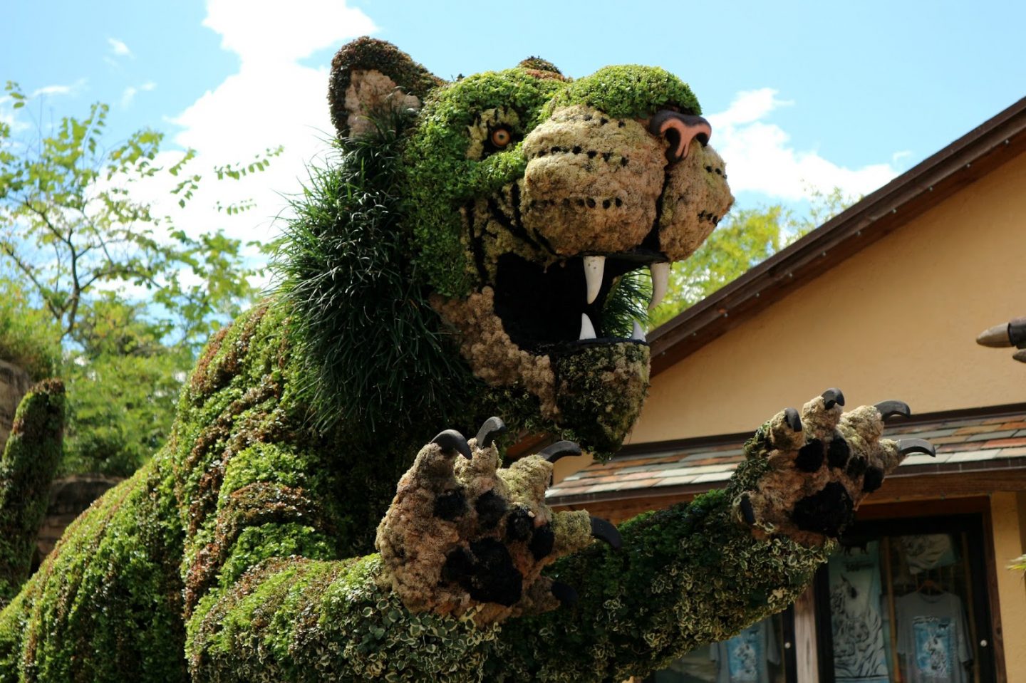 Busch Gardens Travel Blogger