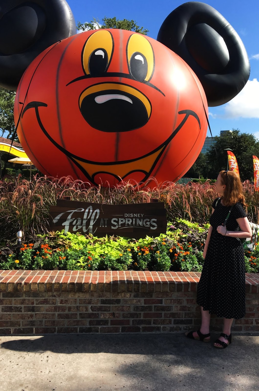 how to save money at walt disney world