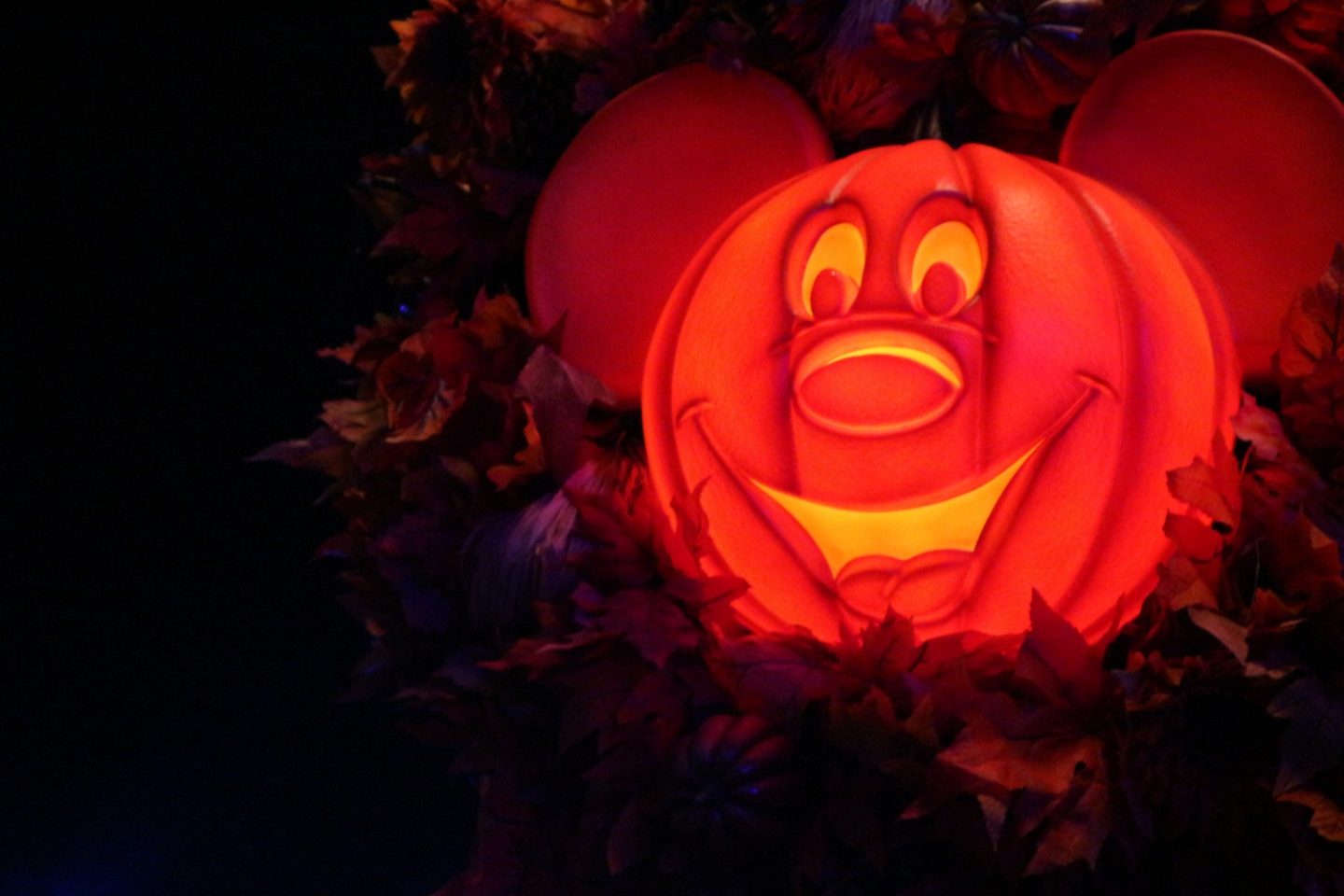 best time to go to disney world 2019