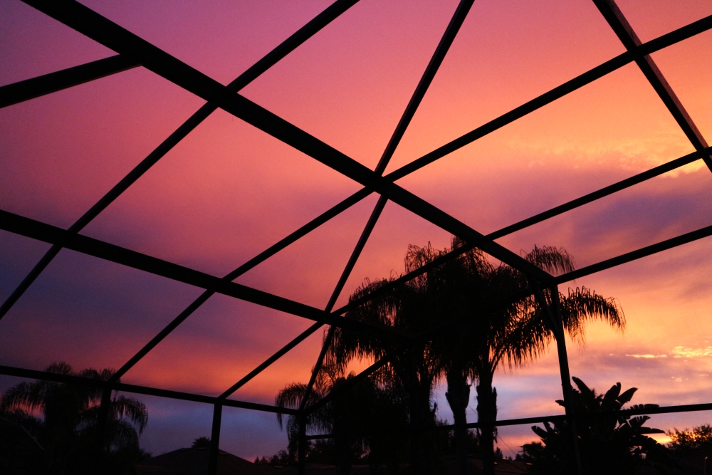orlando florida photography