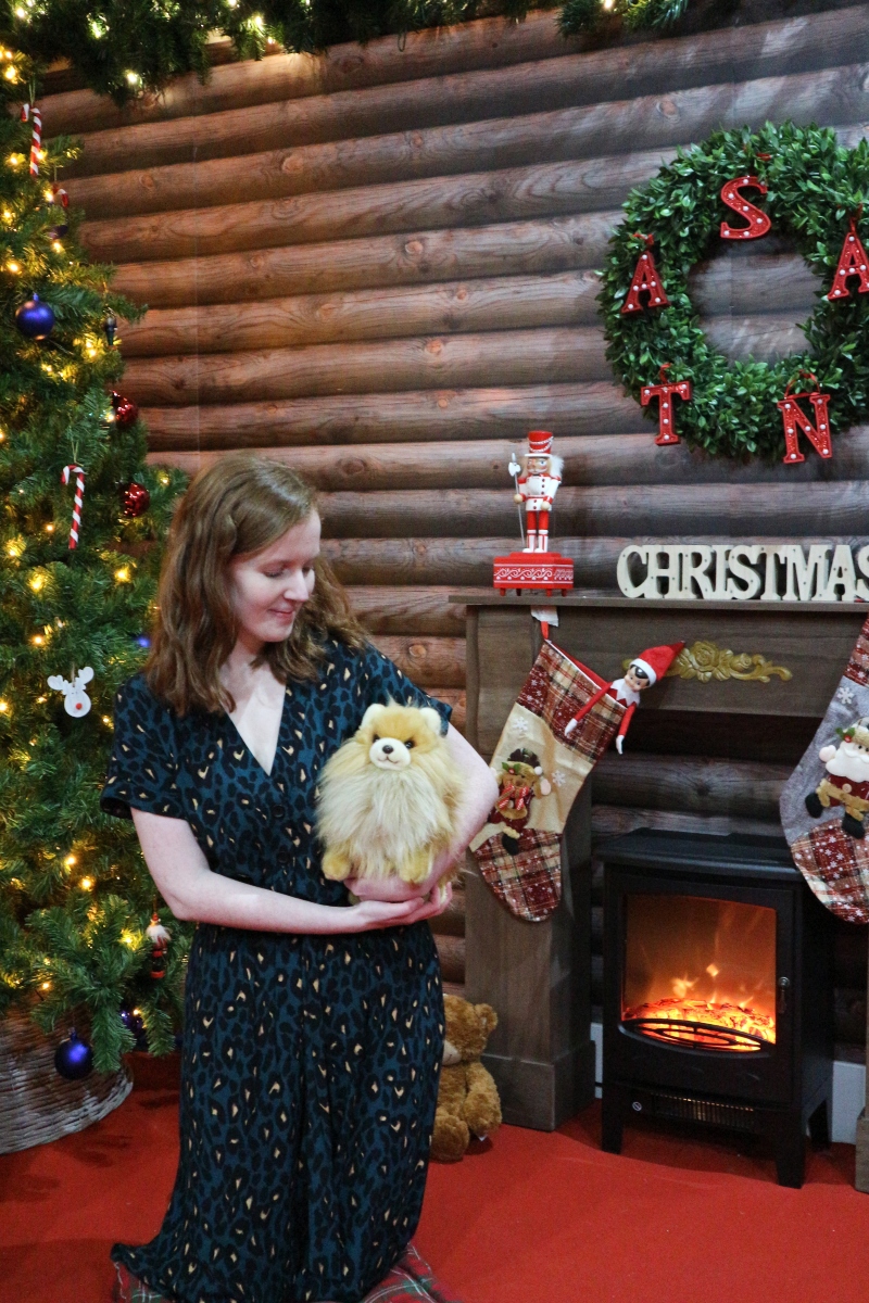petplan advent calendar 2019