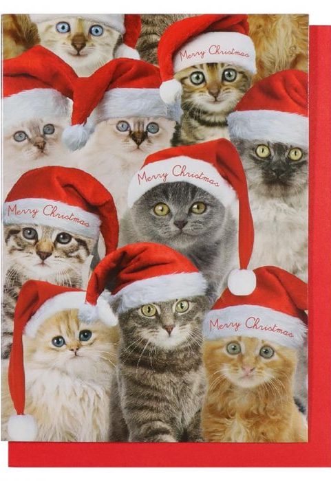 paperchase christmas cards