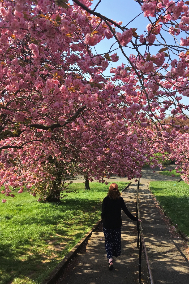 glasgow lifestyle bloggers
