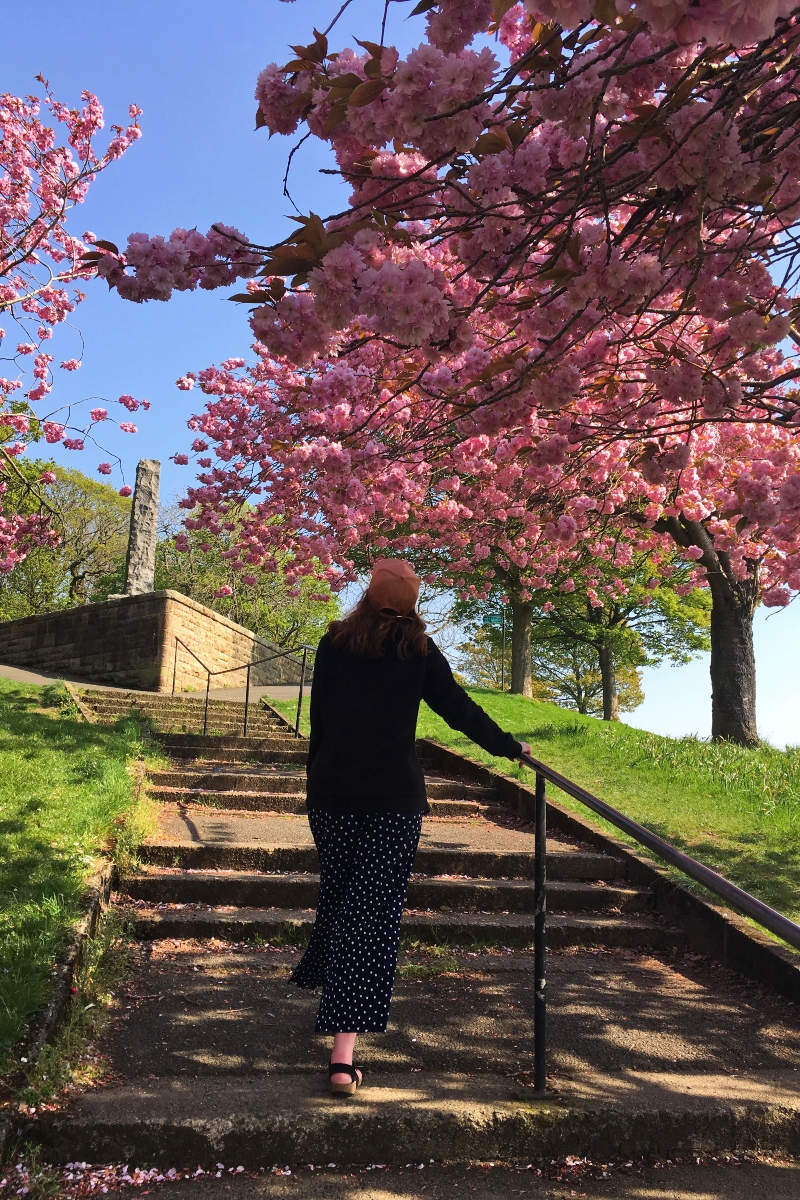 scottish lifestyle bloggers
