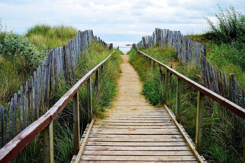 what to do in st andrews scotland