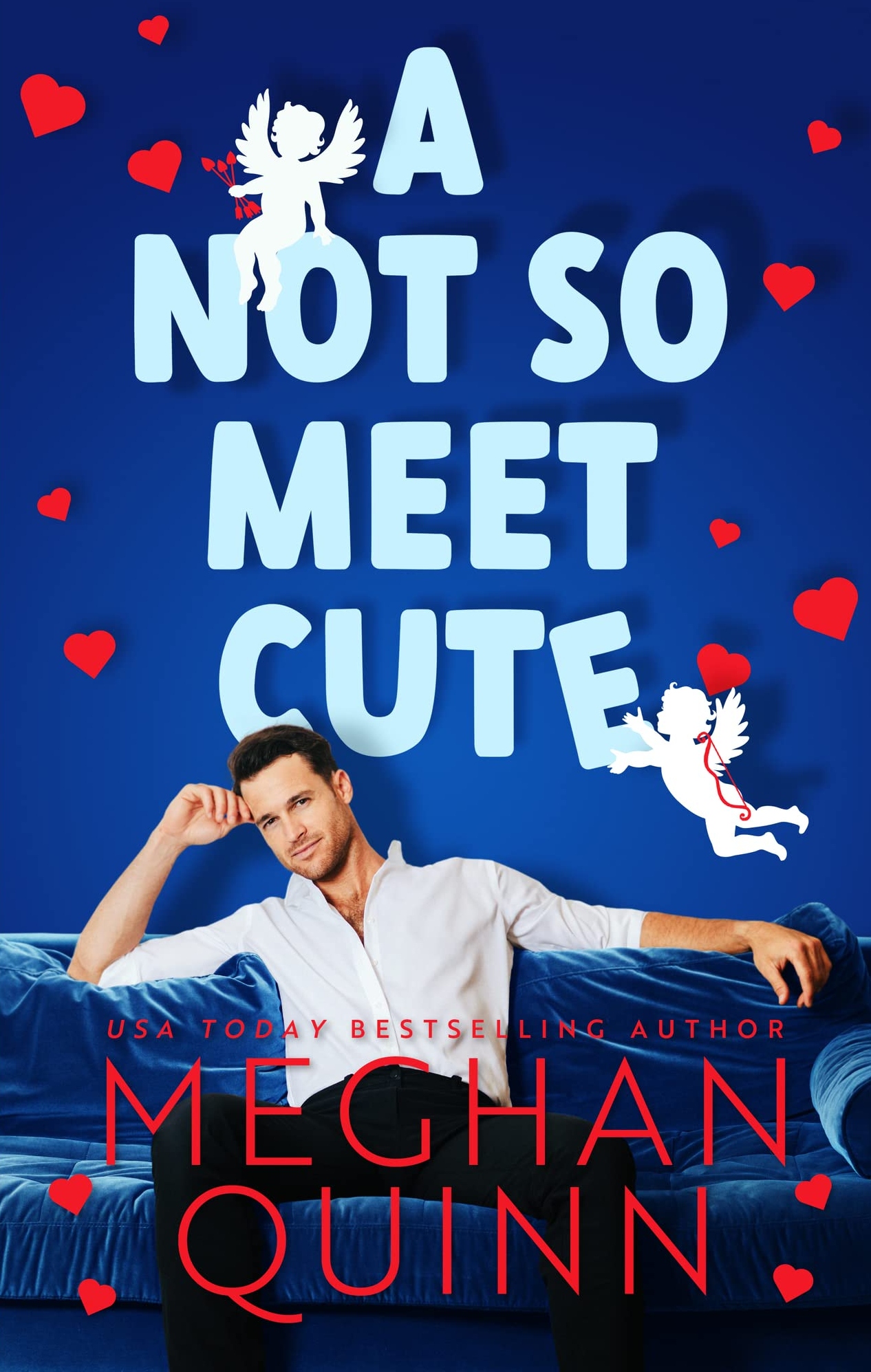 a not so meet cute meghan quinn