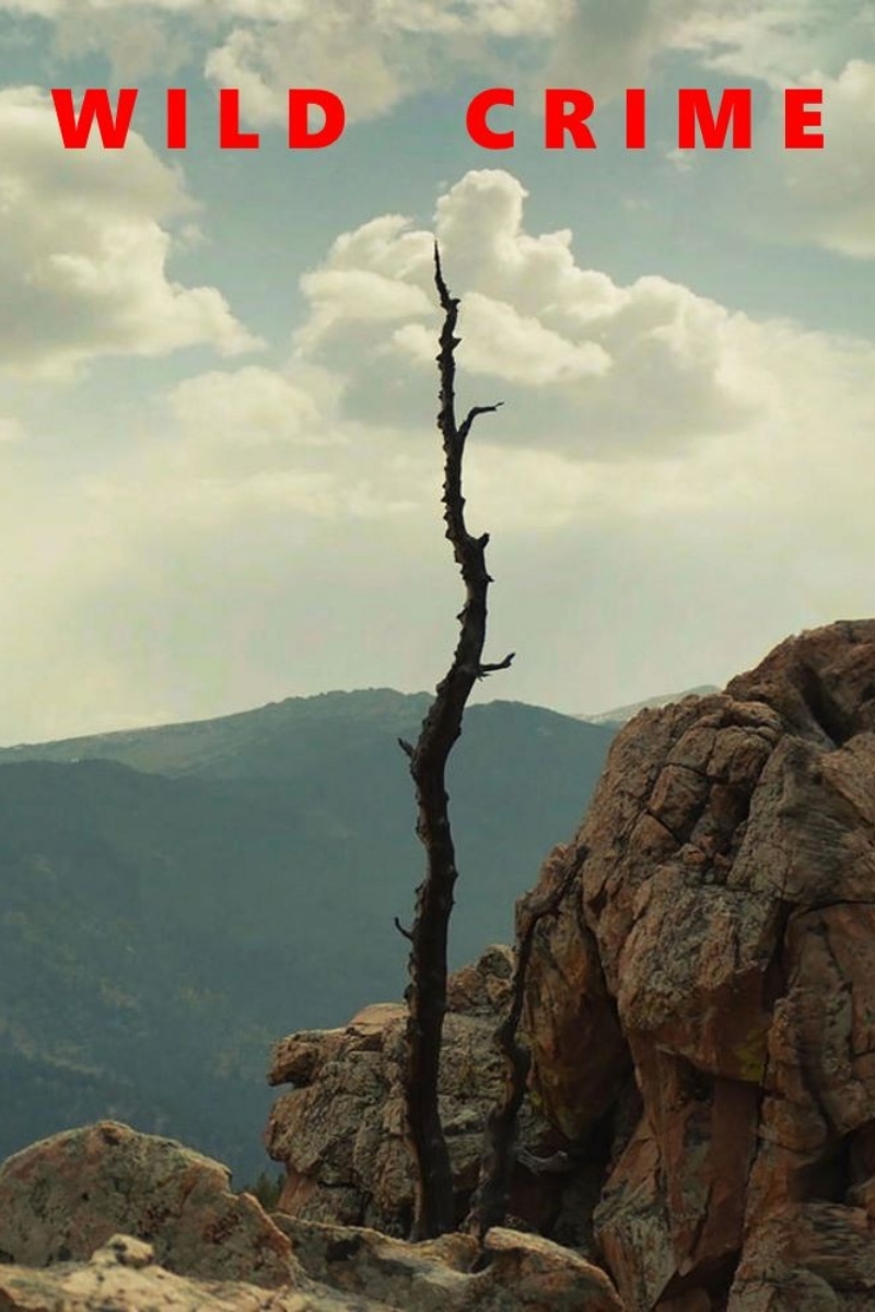 wild crime season 1 review