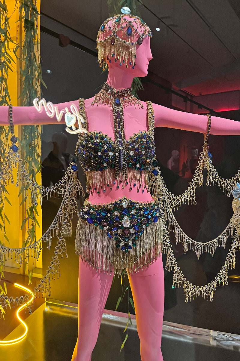 taylor swift bejewelled costume