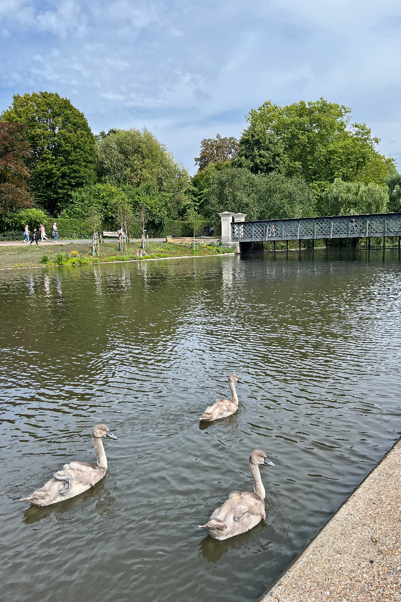 st regents park pond