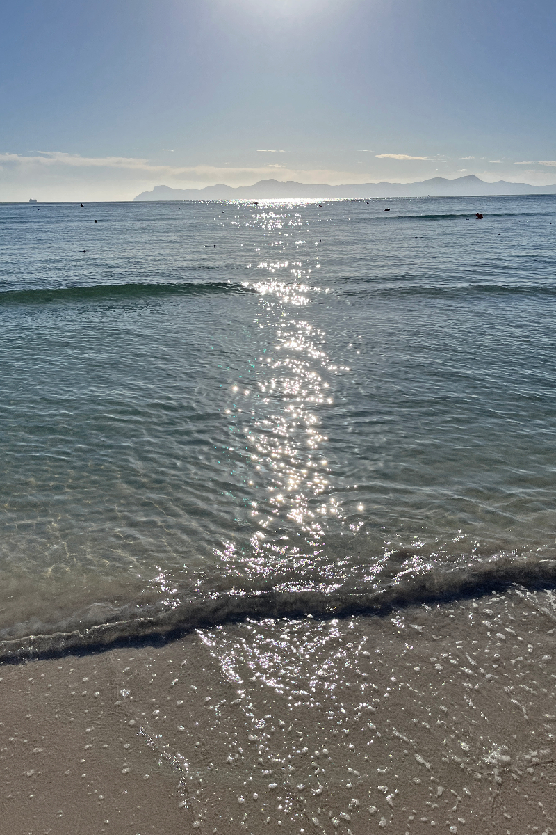 alcudia beach
