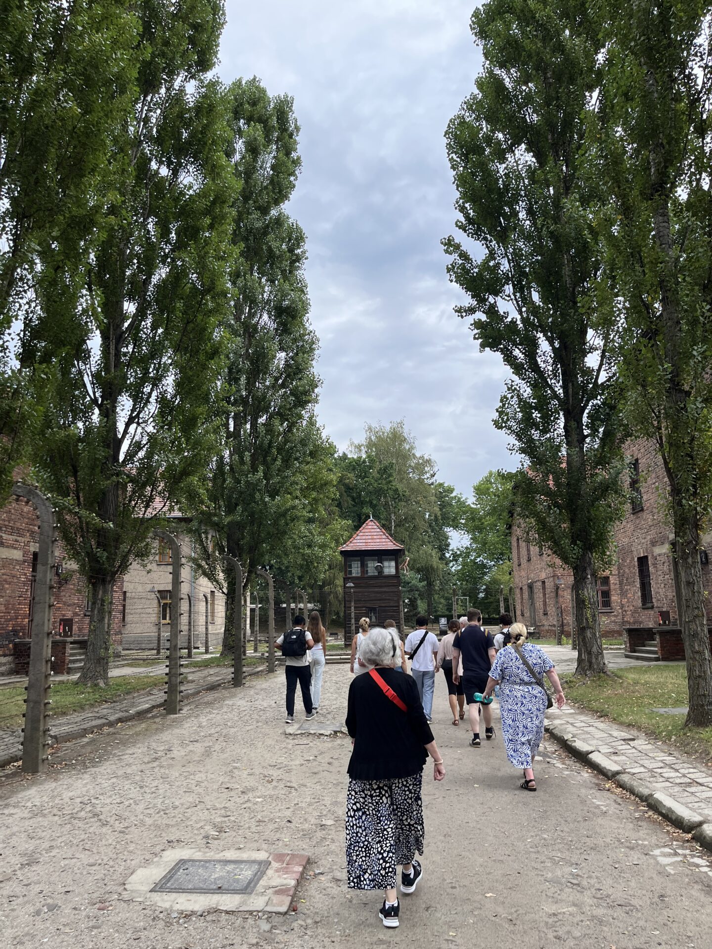 auschwitz tour
