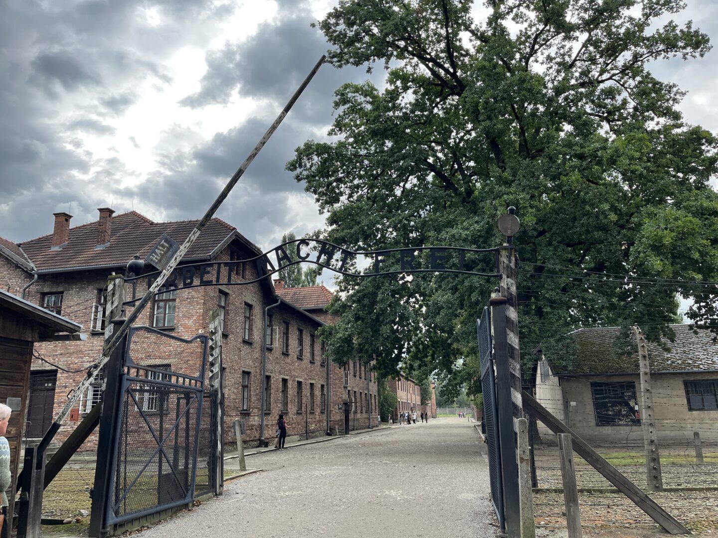 auschwitz tour from krakow